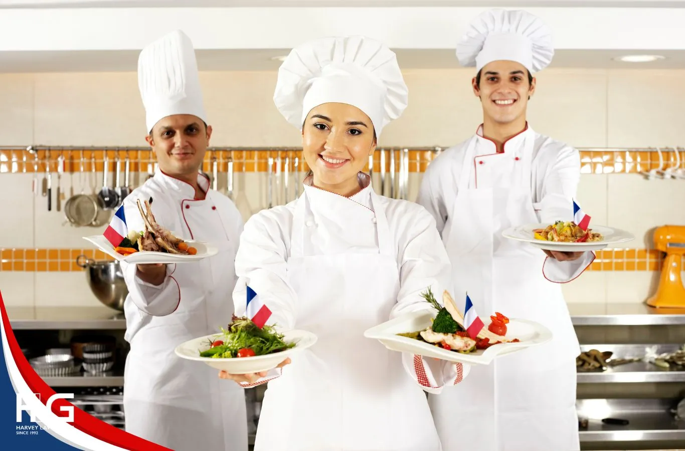 ngành nào dễ định cư tại pháp