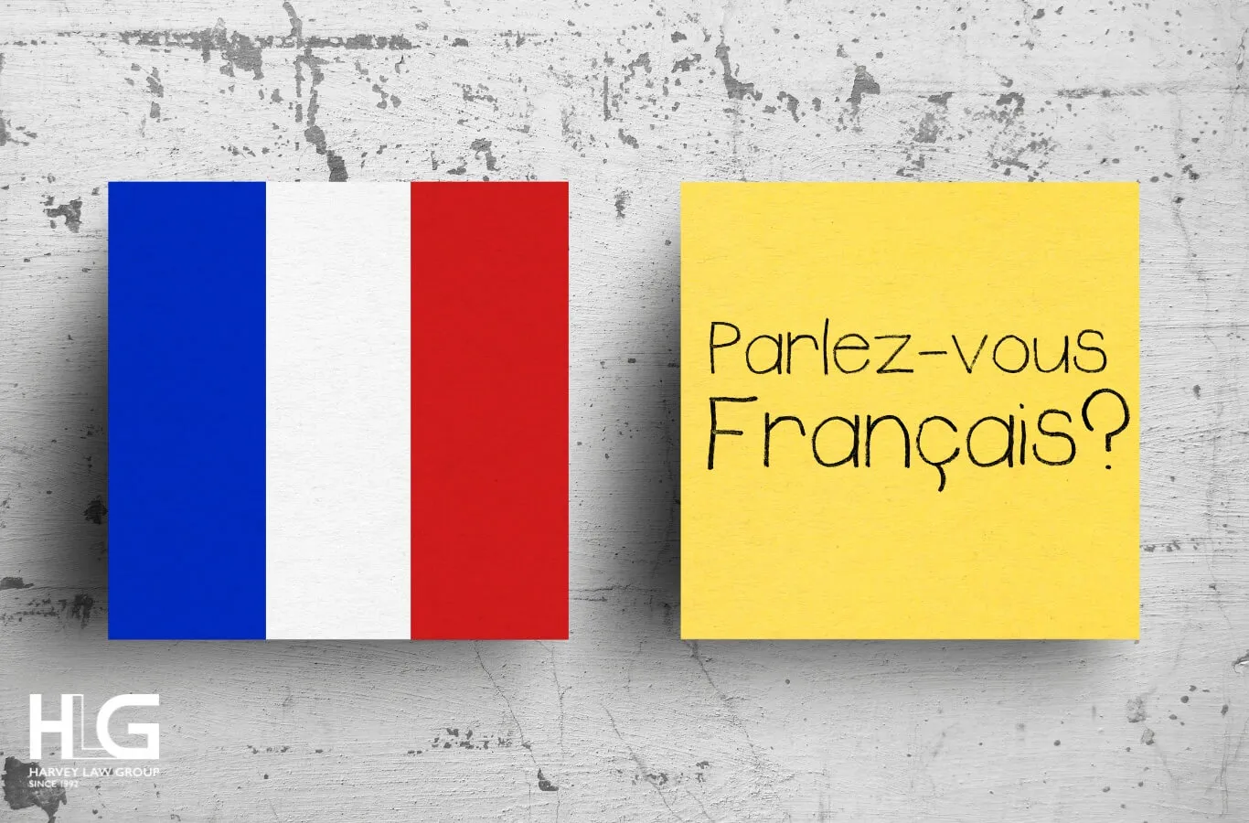 Ảnh5. Chứng chỉ TEF