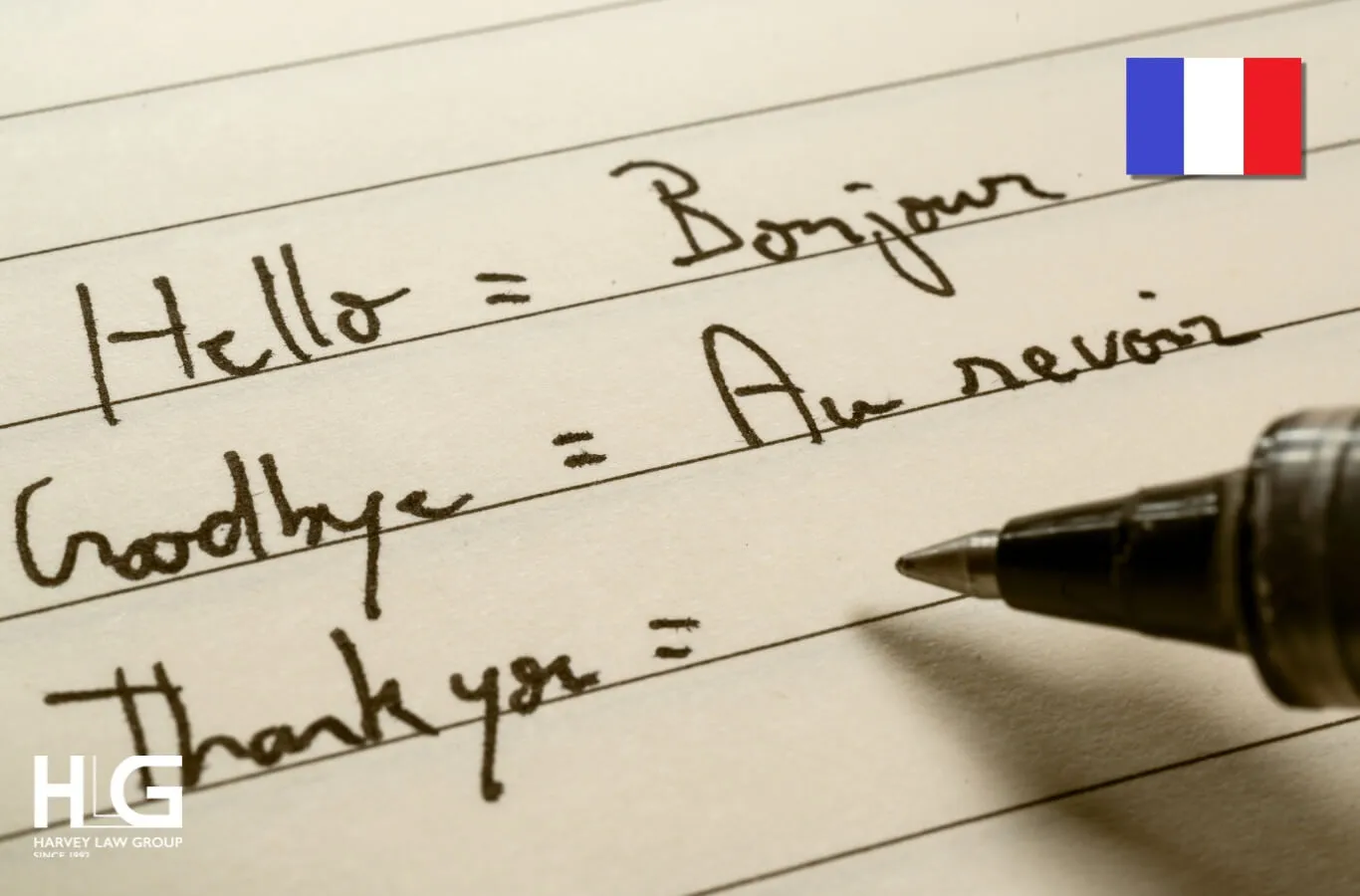 Ảnh7. Chứng chỉ TEF