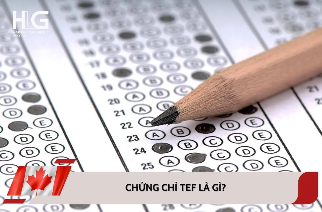 Chứng chỉ TEF là gì? Cấu trúc chi tiết đề thi TEF
