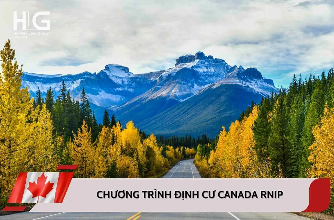Tổng hợp thông tin Chương trình định cư Canada RNIP