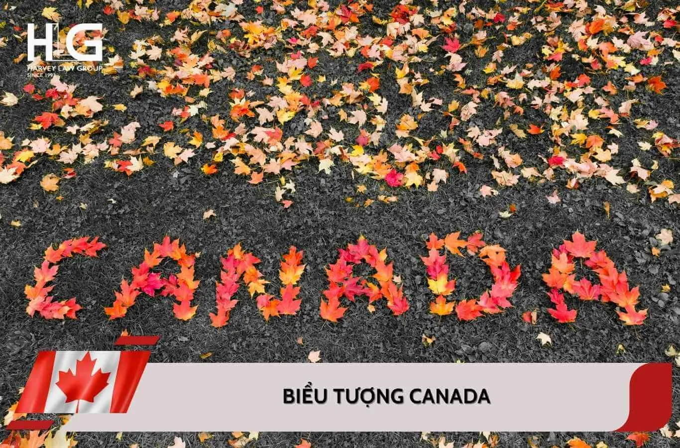 Top 11 biểu tượng của Canada ai cũng nên biết