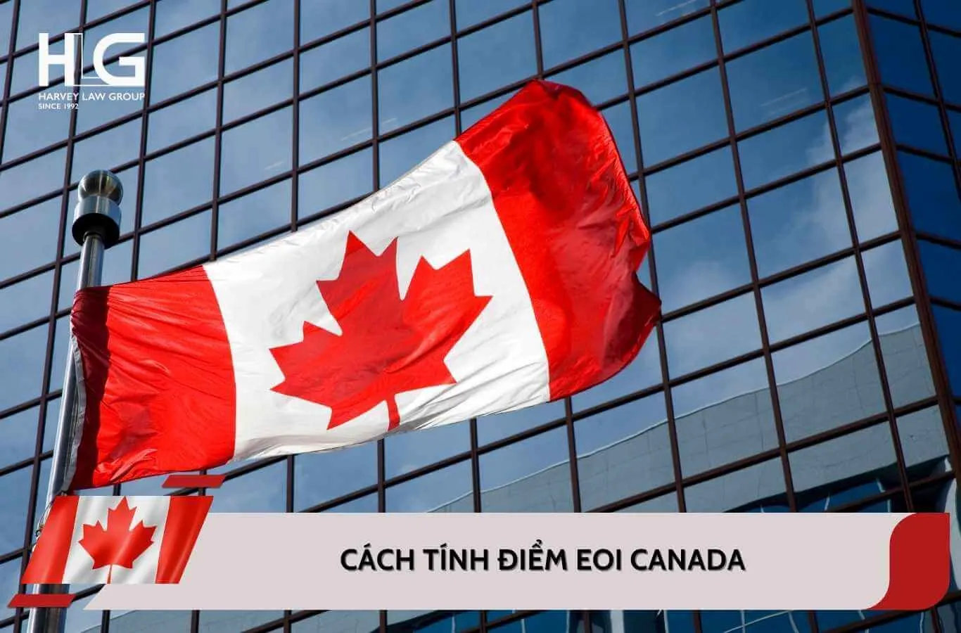 EOI là gì? Tìm hiểu về hệ thống bày tỏ nguyện vọng của Canada