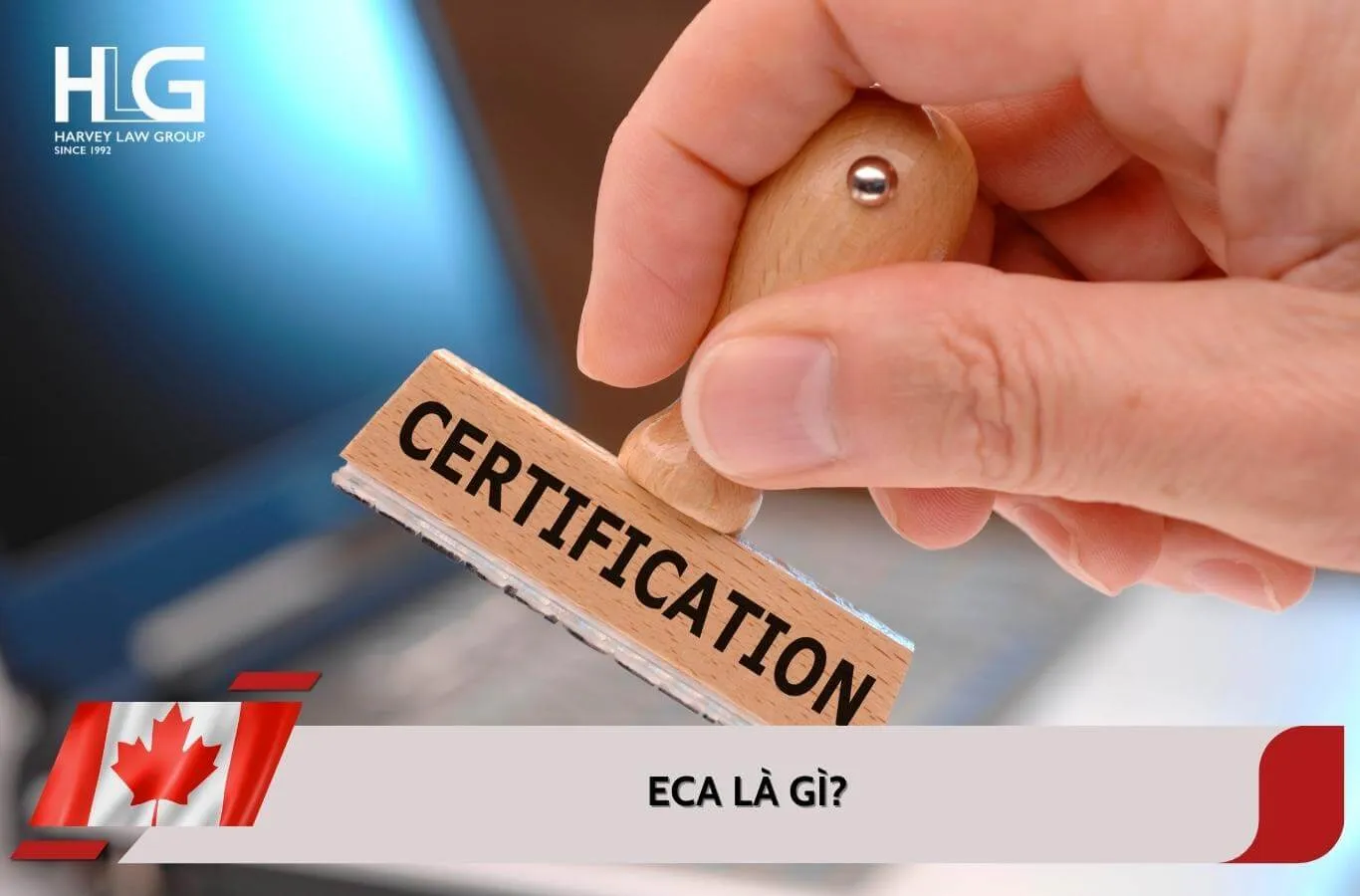 ECA là gì? Ai cần và cách lấy nhanh nhất 2026