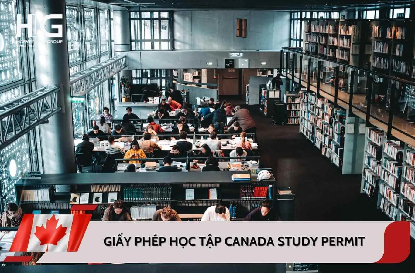 Giấy phép học tập Canada (Study Permit): Hồ sơ và chi phí