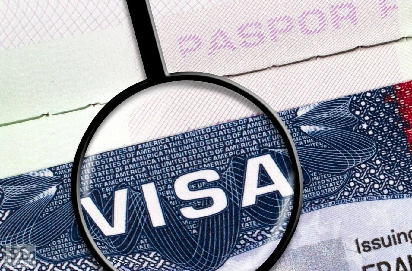 Visa Startup Canada Và Lý Do Mà Doanh Nhân Nên Lựa Chọn