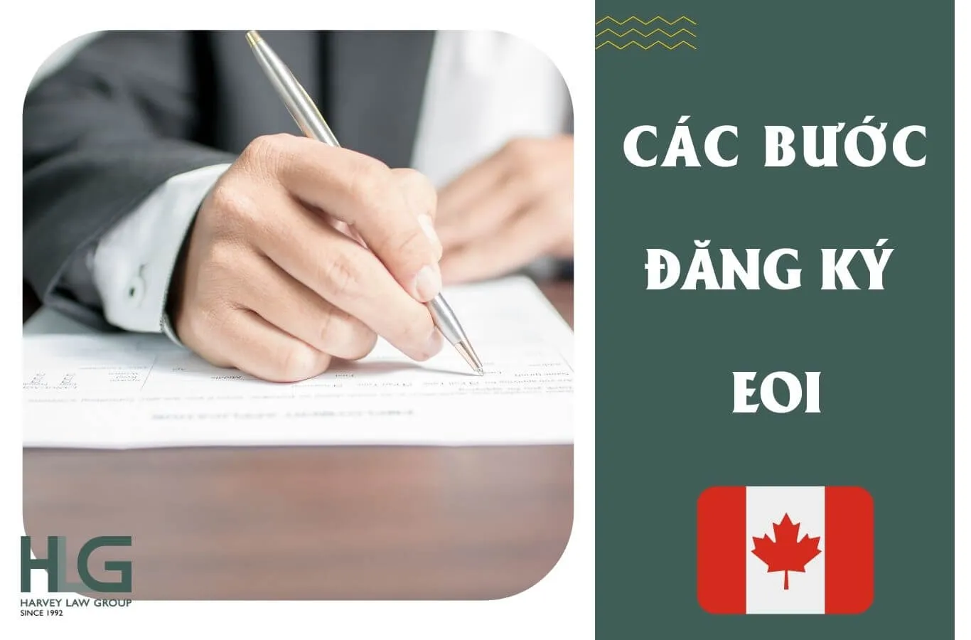 Quy trình đăng ký EOI