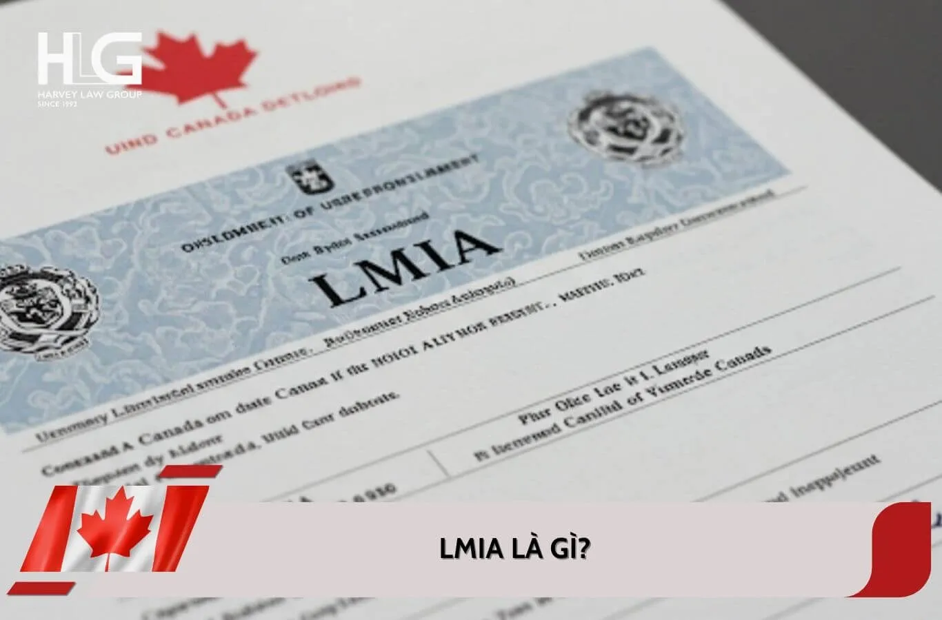 LMIA là gì? Tầm quan trọng của LMIA với lao động định cư Canada
