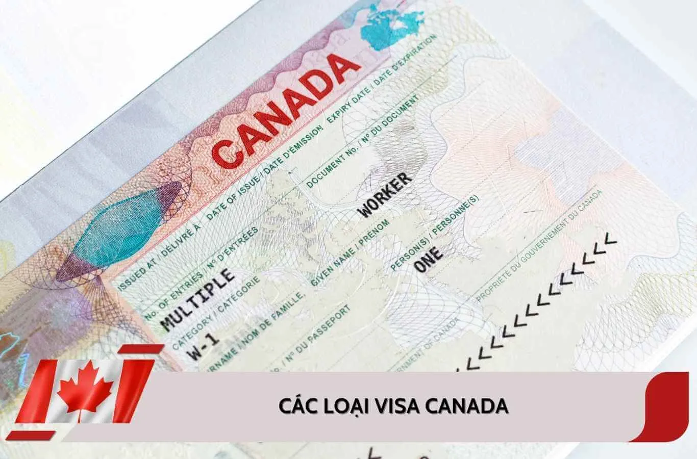Các loai visa định cư Canada: Điều kiện và con đường đến thường trú nhân