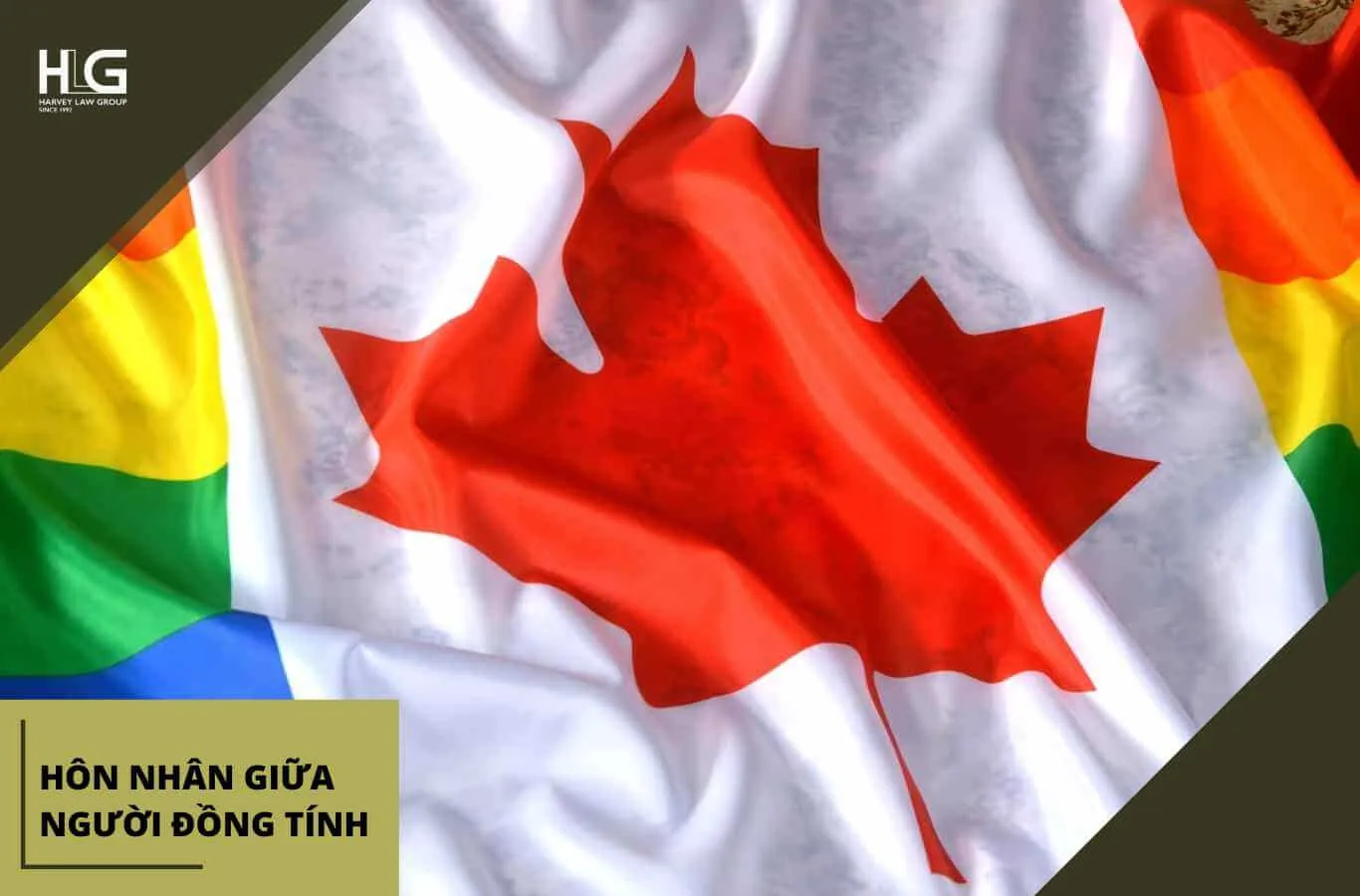 Canada chấp nhận hôn nhân giữa người đồng tính
