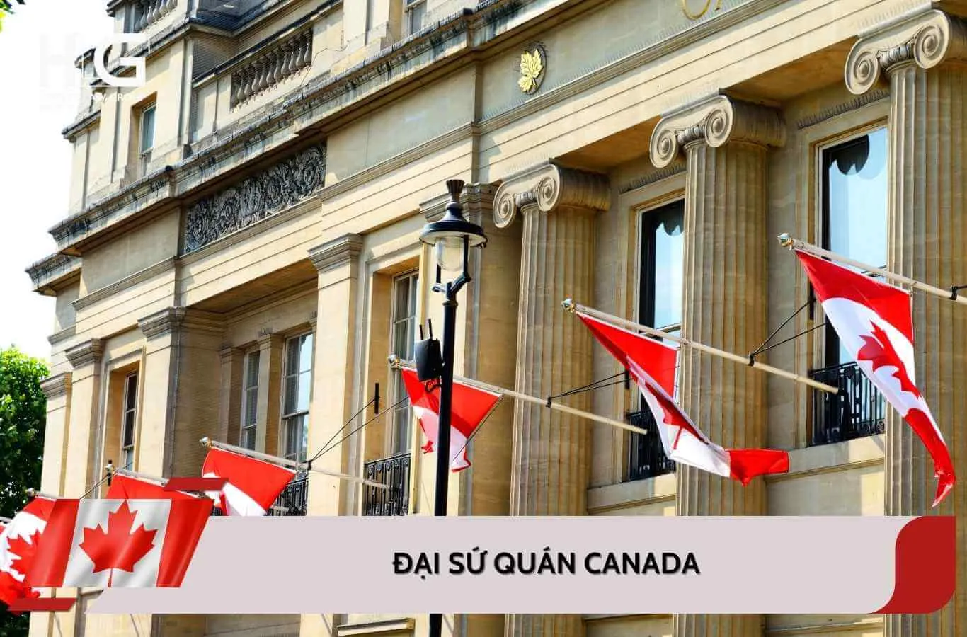 Đại sứ quán Canada ở đâu tại Việt Nam? Cập nhật mới nhất 2026