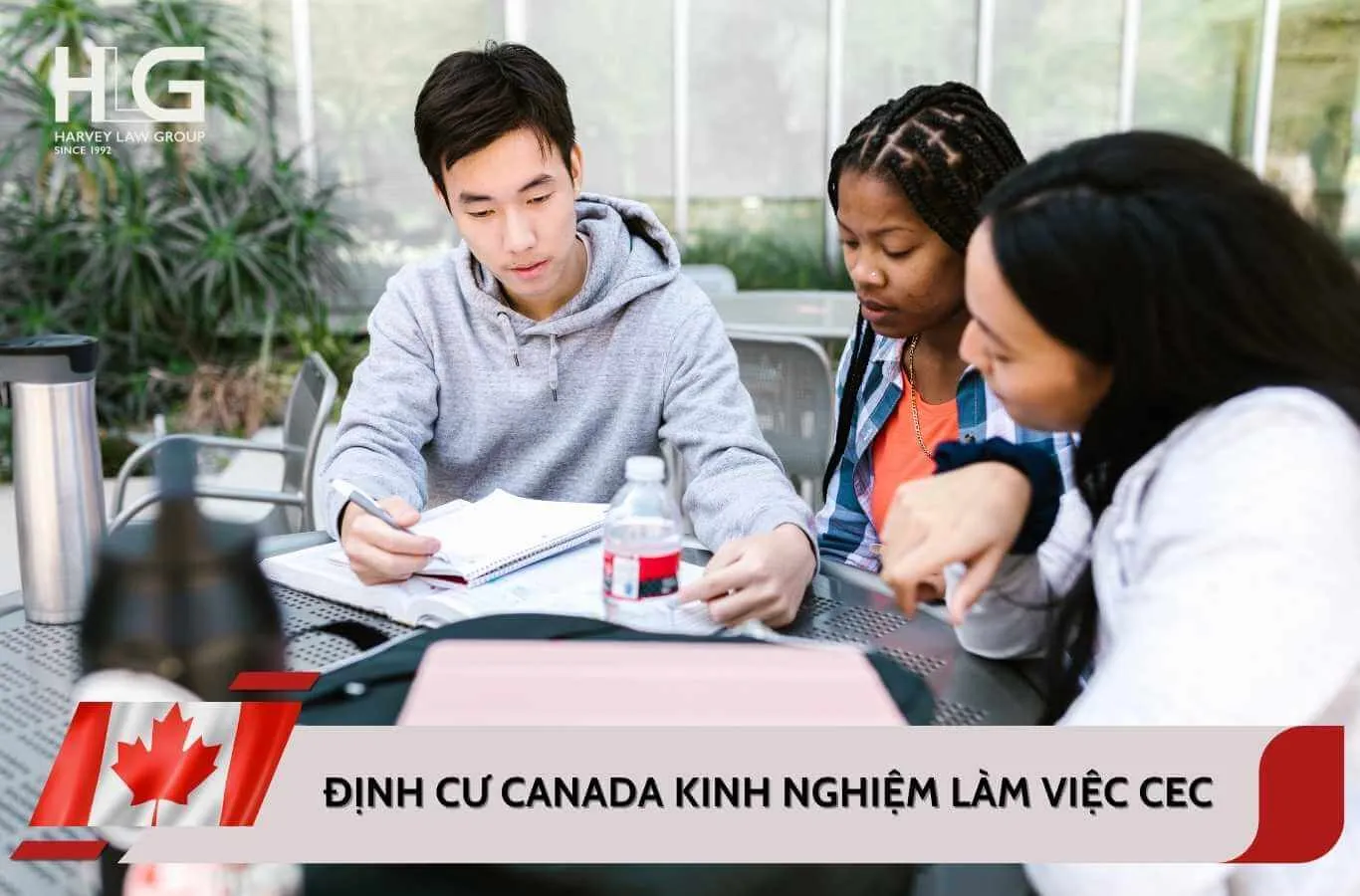Chương trình kinh nghiệm làm việc Canada (CEC) là gì?