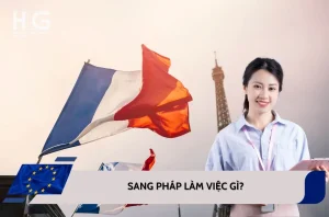 Sang Pháp định cư làm việc gì? Mức lương trung bình tại Pháp