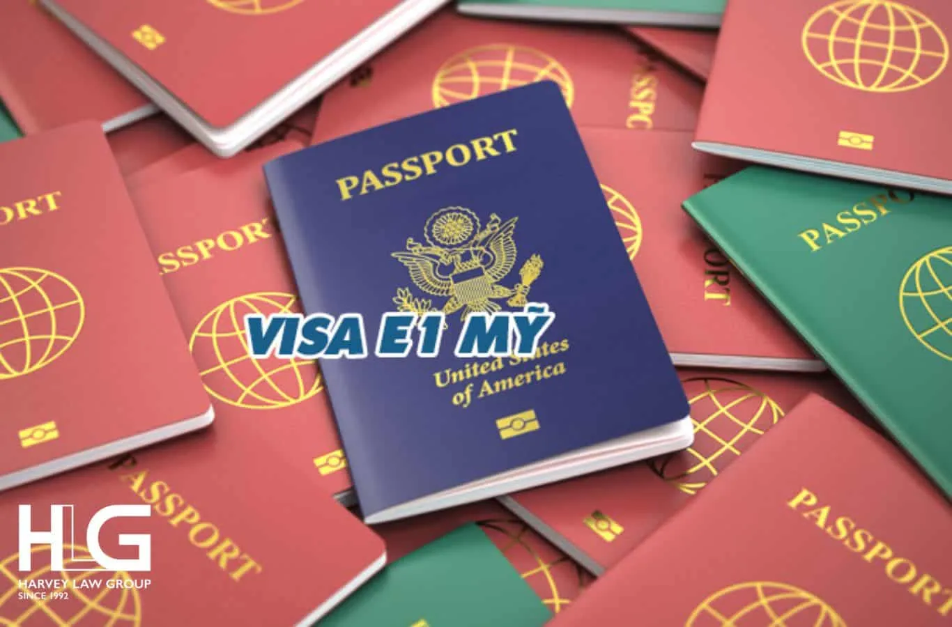 visa E1