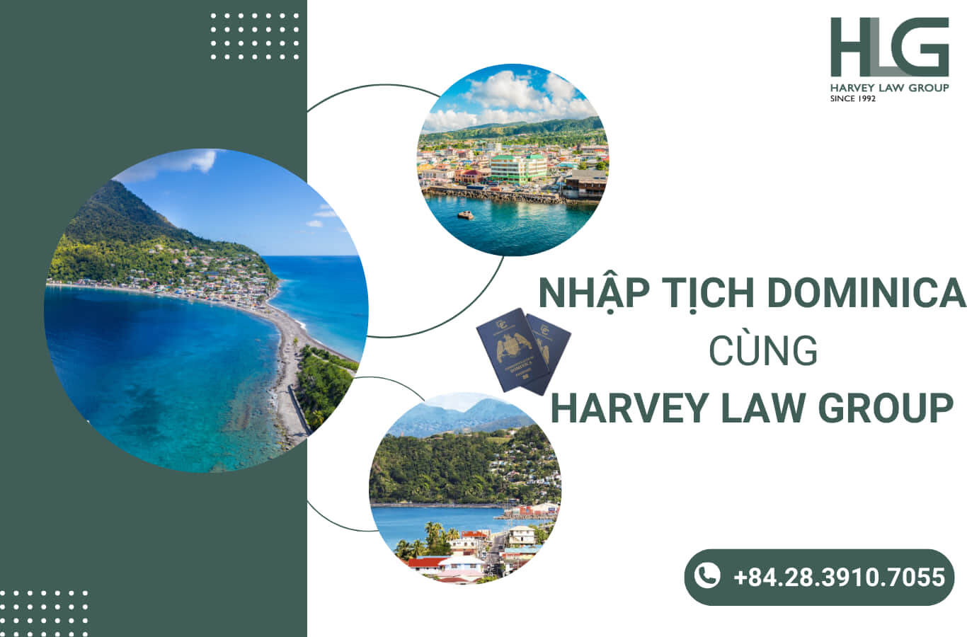 Nhập tịch Dominica cùng Harvey Law Group