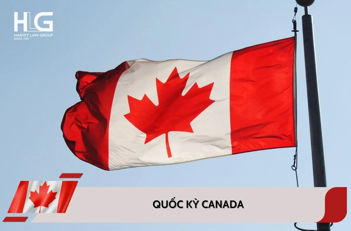 Quốc kỳ Canada: Ý nghĩa sâu sắc đằng sau lá phong đỏ