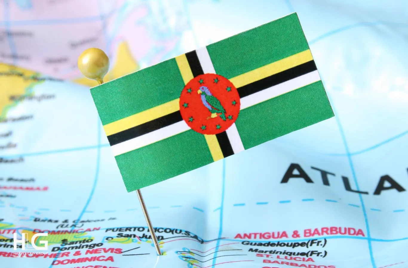 người việt ở dominica