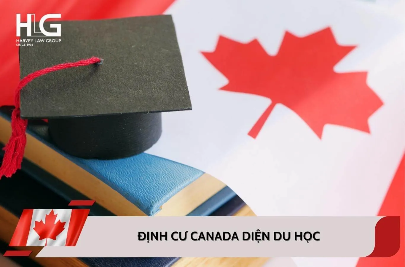 Tổng hợp chính sách định cư Canada diện du học mới nhất