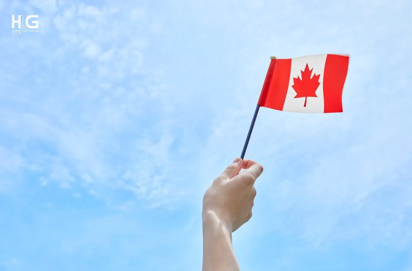 Các chương trình y tế dành cho người nhập cư do Liên bang phối hợp quản lý