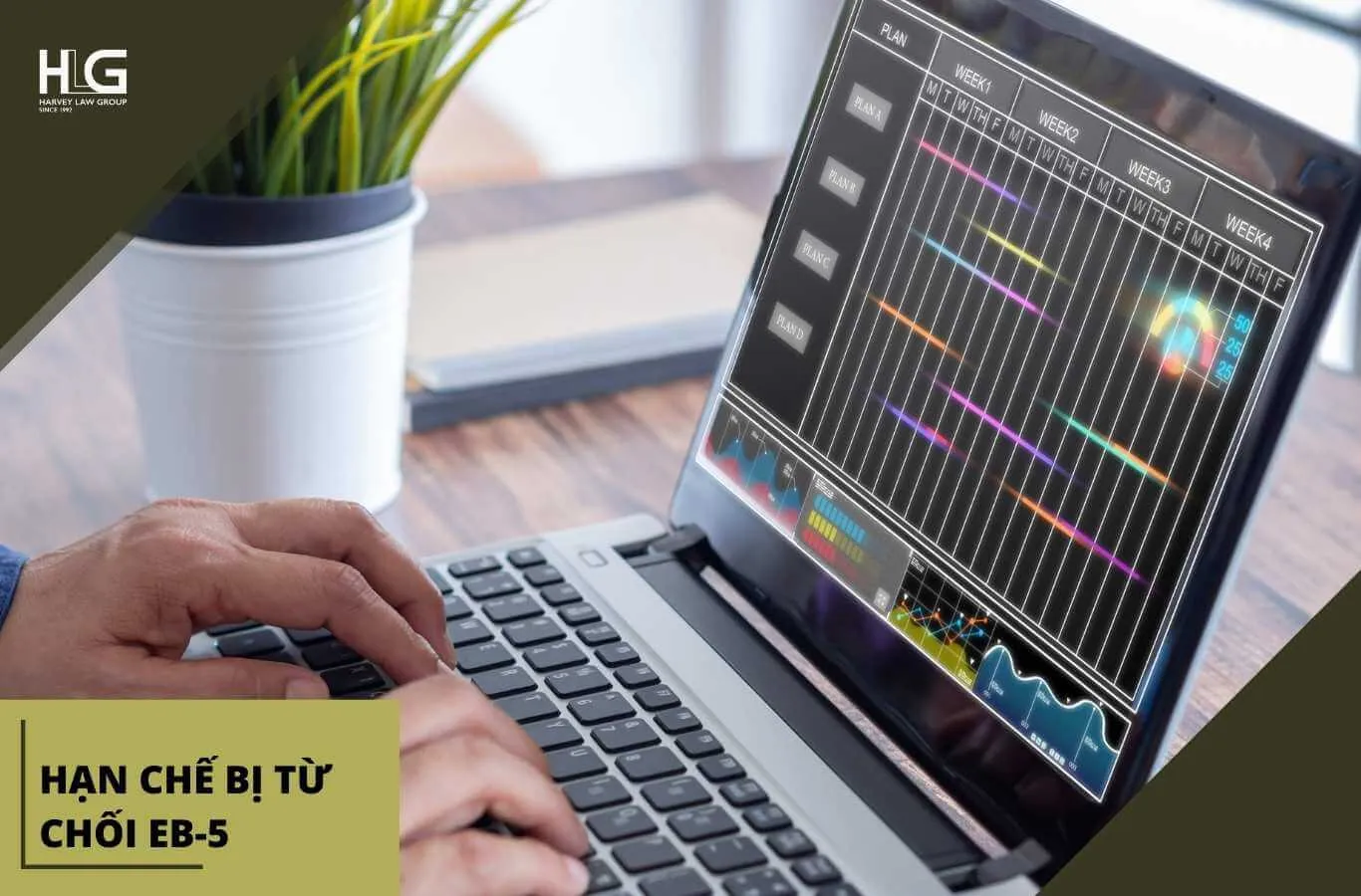 Nhà đầu tư cần theo dõi tiến trình xét duyệt hồ sơ thường xuyên để kịp thời xử lý yêu cầu từ USCIS