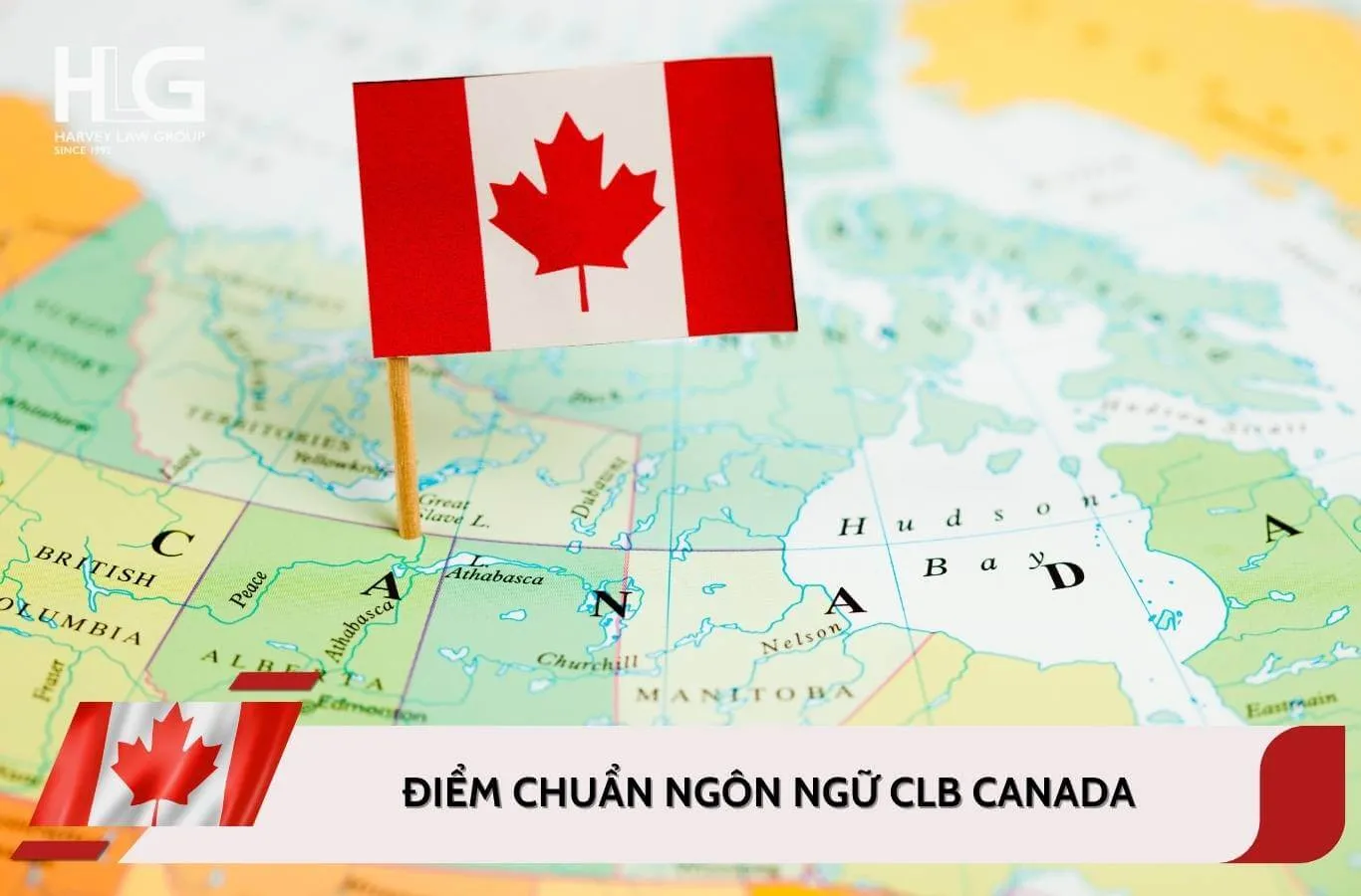 CLB Canada là gì? Cách quy đổi điểm IELTS, CELPIP, PTE theo chuẩn IRCC