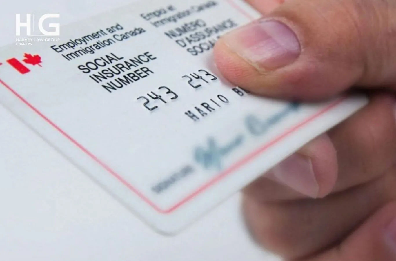 Chỉ cung cấp SIN cho cơ quan thuế, chủ lao động và tổ chức tài chính đủ thẩm quyền