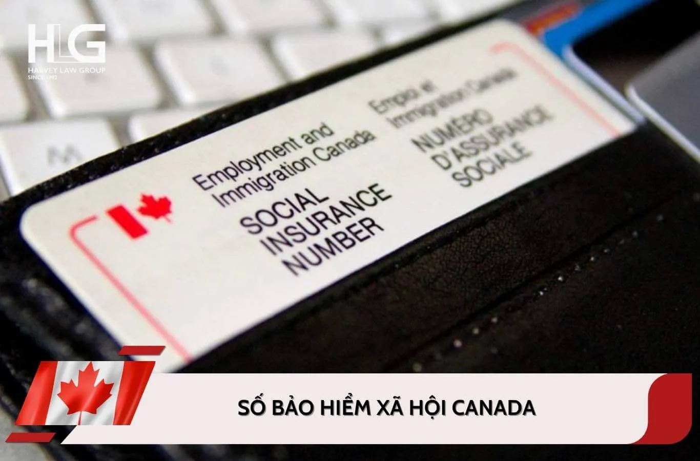 Số bảo hiểm xã hội Canada (SIN): Điều kiện, hồ sơ và cách đăng ký SIN
