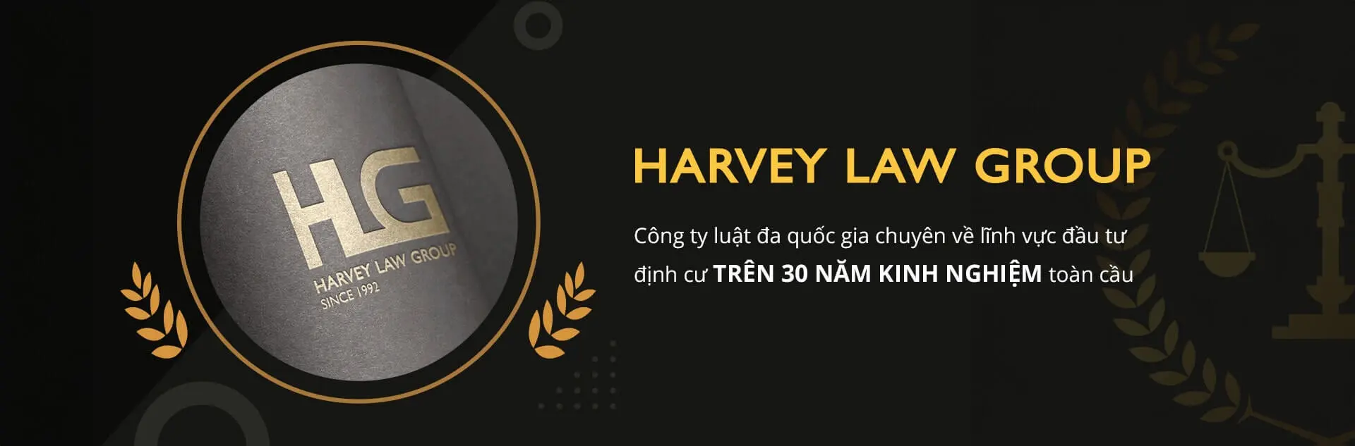 hlg-vn-banner-1